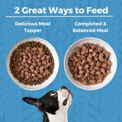 Show full view: KOHA Lamb Stew High Protein Limited Ingredient Wet Dog Food, 12.7-oz can, case of 12 slide 7 of 9