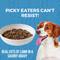 Show in main carousel: KOHA Lamb Stew High Protein Limited Ingredient Wet Dog Food, 12.7-oz can, case of 12 slide 4 of 9