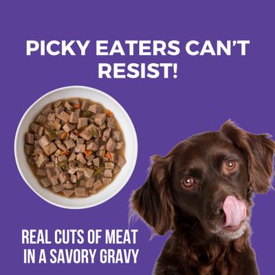 Show full view: KOHA Memphis BBQ Slow Cooked Stew High Protein Wet Dog Food, 12.7-oz can, case of 12 slide 4 of 8