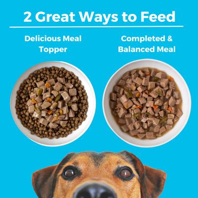 Show full view: KOHA Greek Island Grill Slow Cooked Stew High Protein Wet Dog Food, 12.7-oz can, case of 12 slide 5 of 8