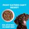 Show in main carousel: KOHA Greek Island Grill Slow Cooked Stew High Protein Wet Dog Food, 12.7-oz can, case of 12 slide 4 of 8