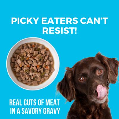 Show full view: KOHA Greek Island Grill Slow Cooked Stew High Protein Wet Dog Food, 12.7-oz can, case of 12 slide 4 of 8