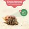 Show in main carousel: Snout and Shell Hermit Crab Worm Castings Supplement, 85-g bag slide 3 of 7