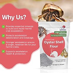 Snout and Shell Hermit Crab Oyster Shell Supplement, 100-g bag slide 2 of 7