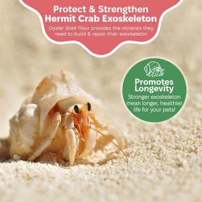 Show full view: Snout and Shell Hermit Crab Oyster Shell Supplement, 100-g bag slide 3 of 7
