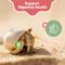 Show in main carousel: Snout and Shell Hermit Crab Oyster Shell Supplement, 100-g bag slide 5 of 7