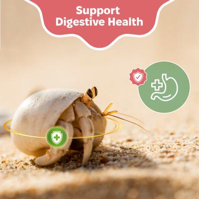 Show full view: Snout and Shell Hermit Crab Oyster Shell Supplement, 100-g bag slide 5 of 7