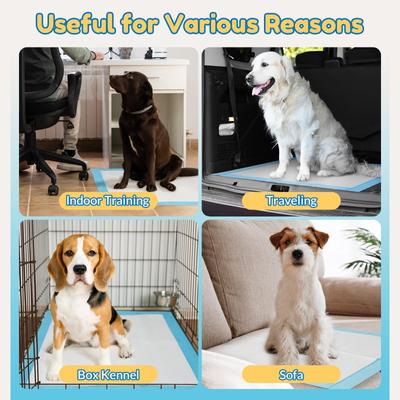 Show full view: Barpor Dog Pee Pads, 24-in x 24-in, 20 count slide 6 of 6