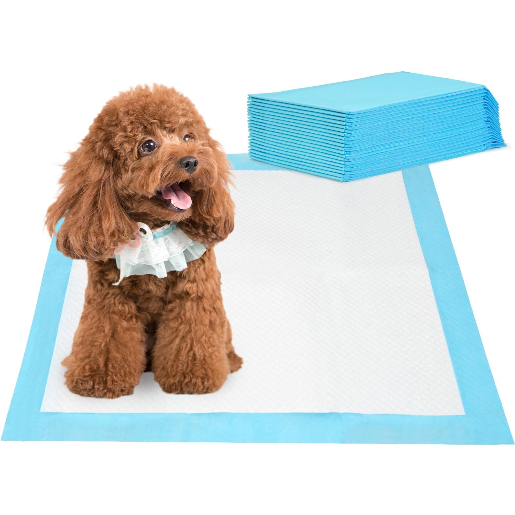 Barpor Dog Pee Pads, 24-in x 24-in, 20 count