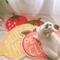 Show in main carousel: Happy & Polly Fruit Series Cat Litter Mat, 24 x 16-in, Strawberry slide 3 of 7