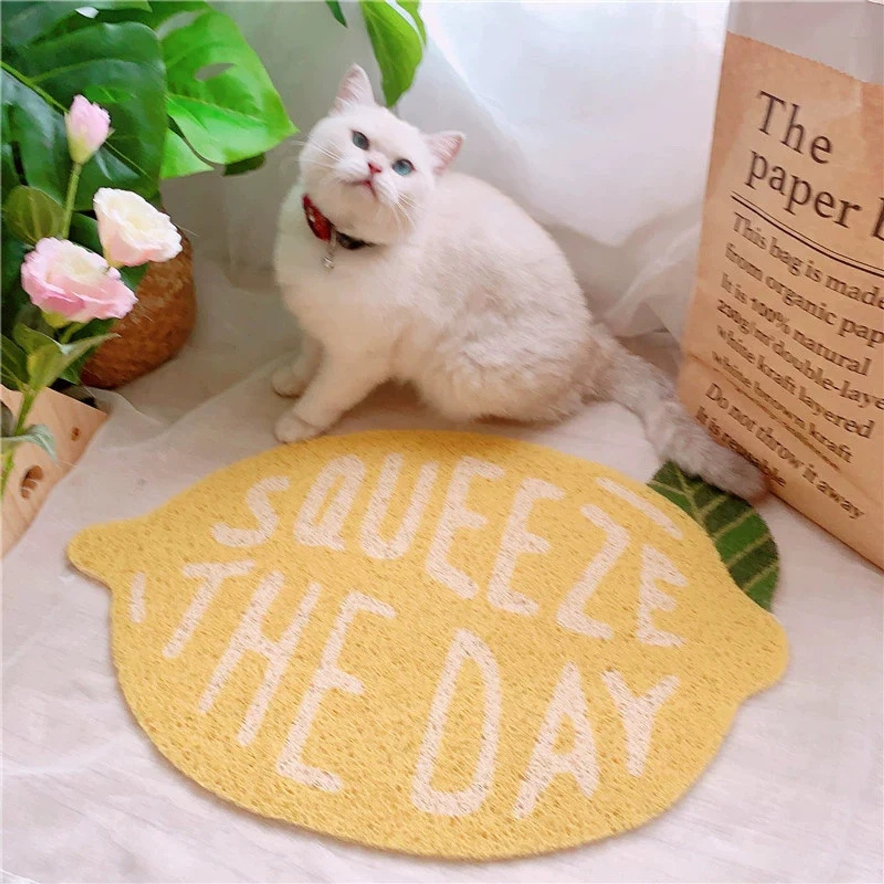 Happy & Polly Fruit Series Cat Litter Mat, 24 x 16-in, Lemon