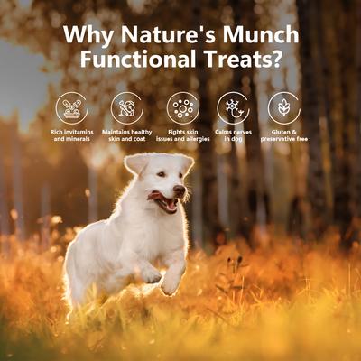 Show full view: Pawfect Nature's Munch Freeze-Dried Functional Skin Care & Shine Cheese Dog Treat, 2.65-oz canister slide 5 of 9