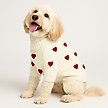 Show in main carousel: Found My Animal 3D Icon Heart Dog Sweater, Medium slide 3 of 4