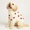 Show in main carousel: Found My Animal Valentine's Day 3D Icon Heart Dog Sweater, XX-Large slide 4 of 6