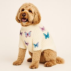 Found My Animal Whimsical Butterfly Dog Sweater, Large slide 2 of 4