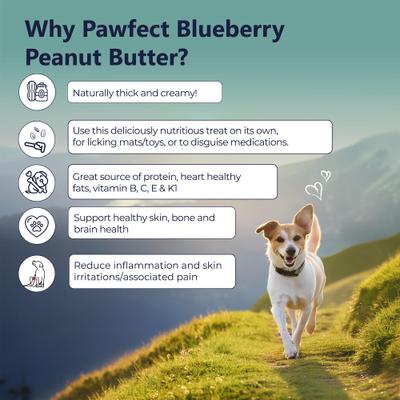 Show full view: Pawfect All Natural Peanut Butter with Blueberry & Hempseeds Grain-Free Food Topper & Lickable Dog Treat, 9.70-oz jar slide 5 of 9