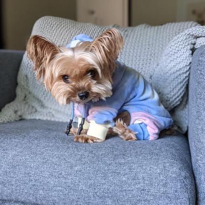 Show full view: Bespoke Paws Dale French Terry Tie-Dye Dog Onesie, Small slide 4 of 9