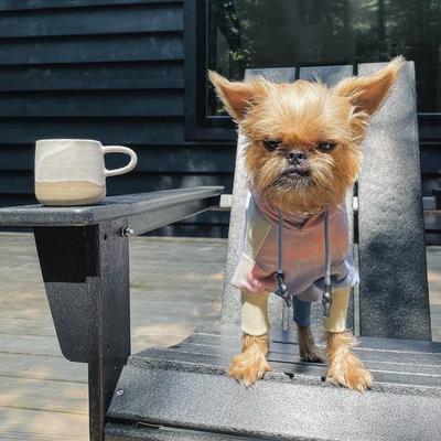 Show full view: Bespoke Paws Dale French Terry Tie-Dye Dog Onesie, Small slide 3 of 9