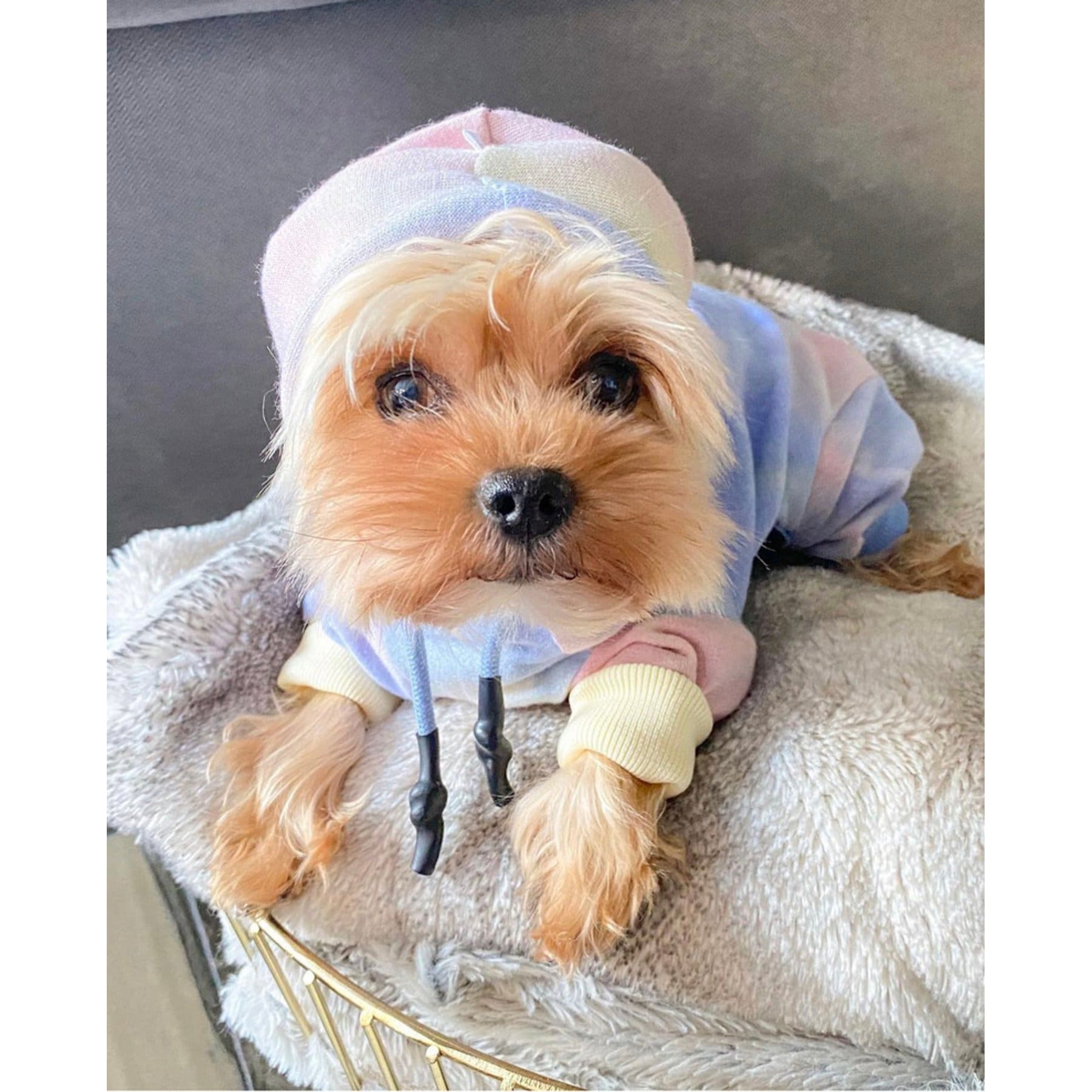 Bespoke Paws Dale French Terry Tie-Dye Dog Onesie, Medium