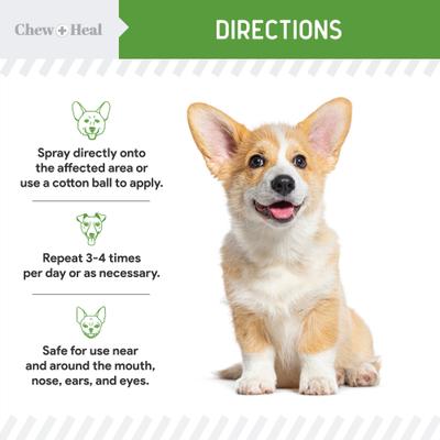 Show full view: Chew + Heal HOCI Healing Aid Spray for Dogs & Cats, 8-fl oz slide 6 of 11