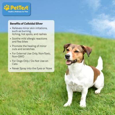 Show full view: PetTest Colloidal Silver Dog Spray Treatment, 8-fl oz bottle slide 5 of 7