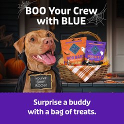 Blue Buffalo Boo Bits Tasty Chicken Recipe Soft & Chewy Halloween Dog Treats, 4.5-oz bag slide 2 of 9