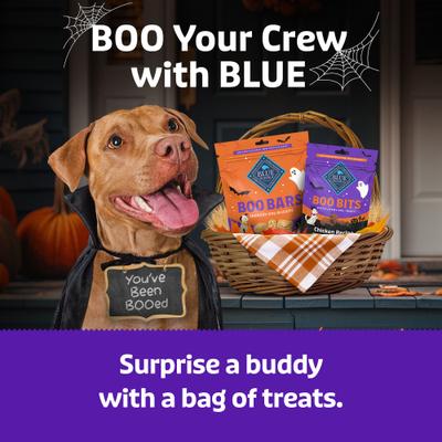 Show full view: Blue Buffalo Boo Bits Tasty Chicken Recipe Soft & Chewy Halloween Dog Treats, 4.5-oz bag slide 9 of 11