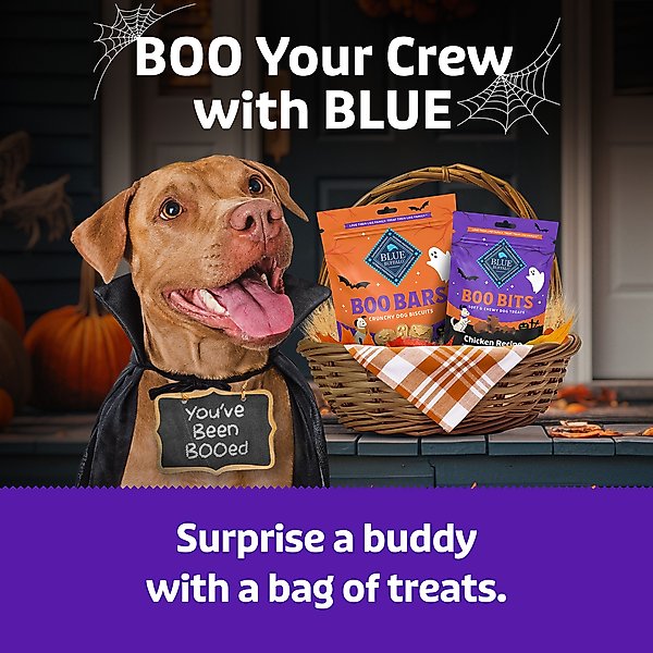 Show full view: Blue Buffalo Boo Bars Pumpkin & Cinnamon Recipe Crunchy Halloween Dog Biscuits, 11-oz bag slide 9 of 11