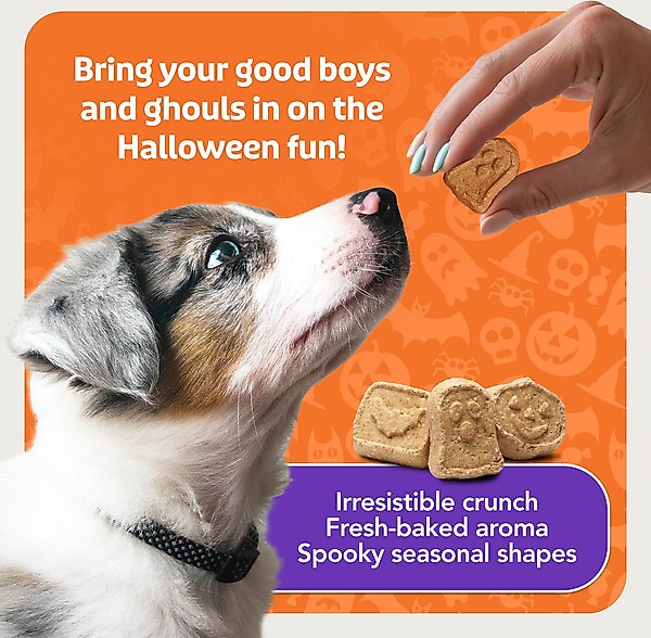 Show full view: Blue Buffalo Boo Bars Pumpkin & Cinnamon Recipe Crunchy Halloween Dog Biscuits, 11-oz bag slide 8 of 11