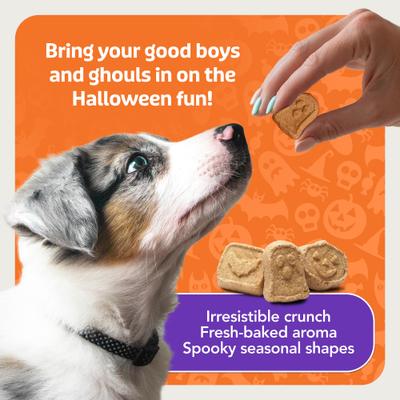 Show full view: Blue Buffalo Boo Bars Pumpkin & Cinnamon Recipe Crunchy Halloween Dog Biscuits, 11-oz bag slide 8 of 11