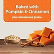 Show in main carousel: Blue Buffalo Boo Bars Pumpkin & Cinnamon Recipe Crunchy Halloween Dog Biscuits, 11-oz bag slide 5 of 11