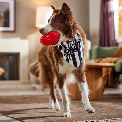 Show full view: Frisco Go Sports Dog & Cat Bandana, X-Large/XX-Large slide 5 of 7