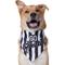 Show in main carousel: Frisco Go Sports Dog & Cat Bandana, X-Large/XX-Large slide 1 of 7