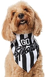 Frisco Go Sports Dog & Cat Bandana, Medium/Large