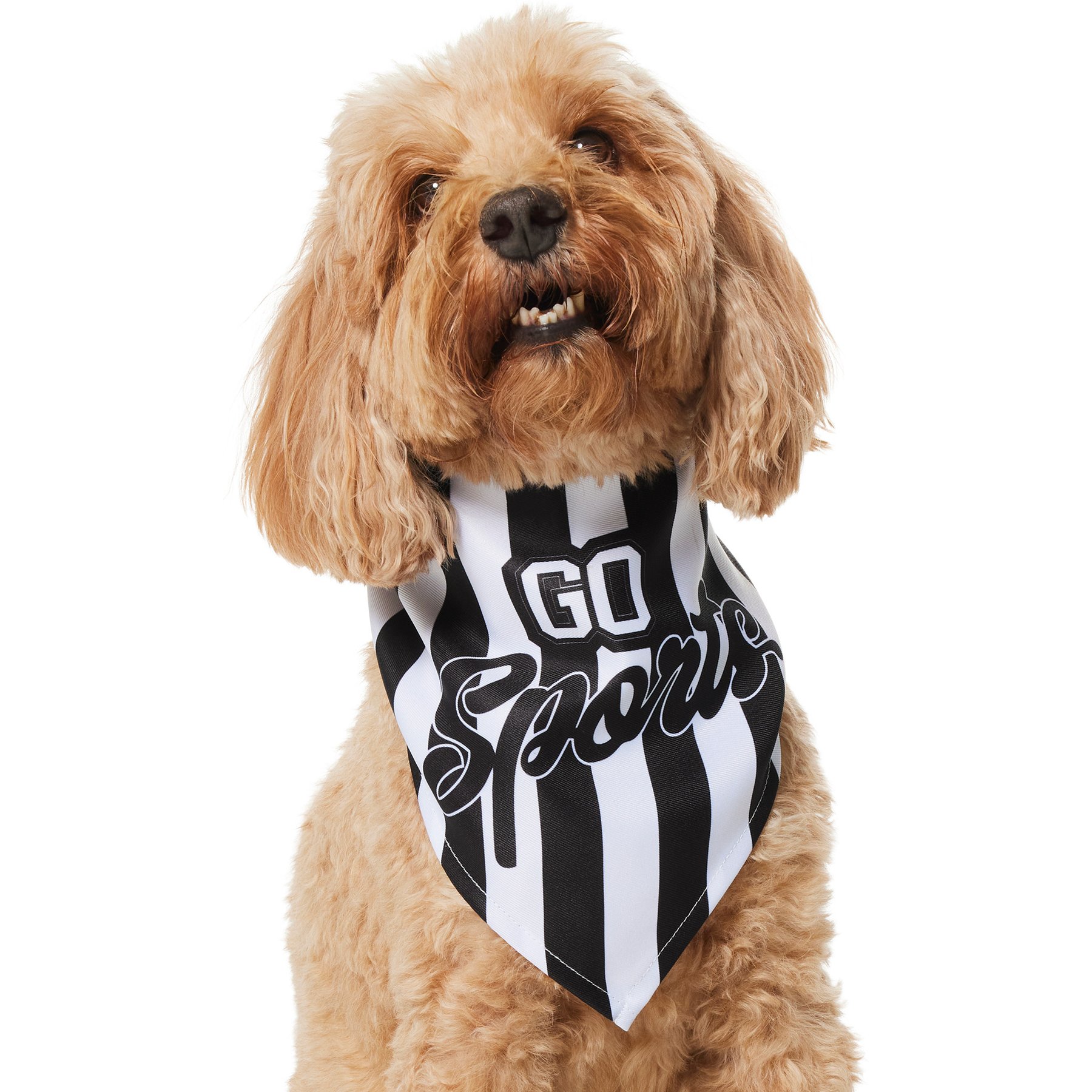 Frisco Go Sports Dog & Cat Bandana, Medium/Large