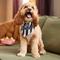 Show in main carousel: Frisco Go Sports Dog & Cat Bandana, X-Small/Small slide 6 of 8