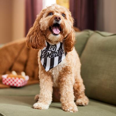 Show full view: Frisco Go Sports Dog & Cat Bandana, X-Small/Small slide 6 of 8