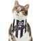 Show in main carousel: Frisco Go Sports Dog & Cat Bandana, X-Small/Small slide 2 of 8