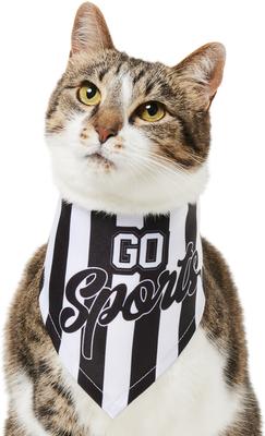 Show full view: Frisco Go Sports Dog & Cat Bandana, X-Small/Small slide 2 of 8