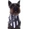 Show in main carousel: Frisco Go Sports Dog & Cat Bandana, X-Small/Small slide 1 of 8
