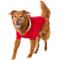 Show in main carousel: Frisco Textured Knit Dog & Cat Hoodie, Red, XX-Large slide 1 of 9