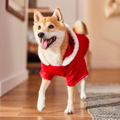 Show full view: Frisco Textured Knit Dog & Cat Hoodie, Red, Large slide 8 of 10