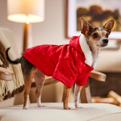 Show full view: Frisco Textured Knit Dog & Cat Hoodie, Red, Small slide 8 of 10