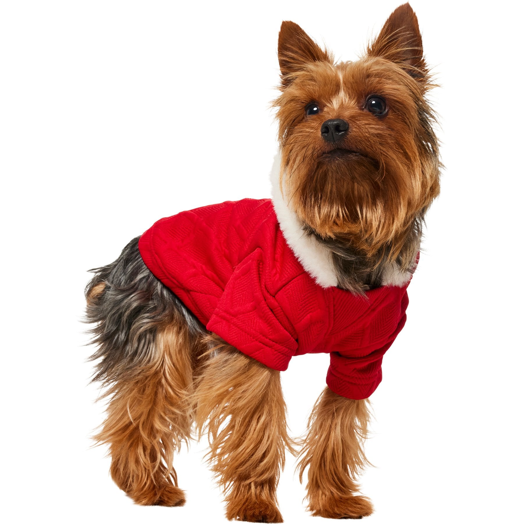 Frisco Textured Knit Dog & Cat Hoodie, Red, X-Small
