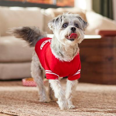 Show full view: Frisco Go Sports Dog & Cat T-Shirt, Red, Medium slide 6 of 8