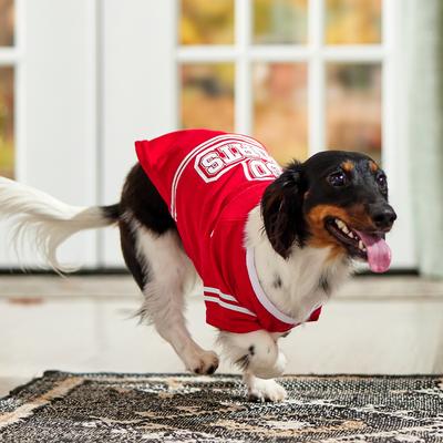 Show full view: Frisco Go Sports Dog & Cat T-Shirt, Red, Small slide 7 of 9
