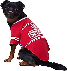 Frisco Go Sports Dog & Cat T-Shirt, Red, Small