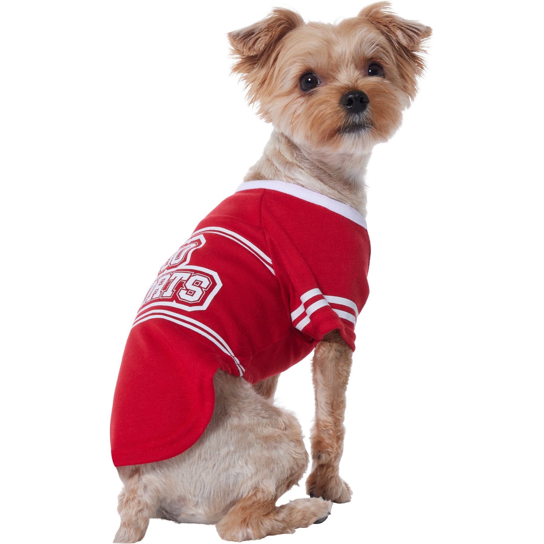 Frisco Go Sports Dog & Cat T-Shirt, Red, X-Small
