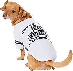 Frisco Go Sports Dog & Cat T-Shirt, White, Small