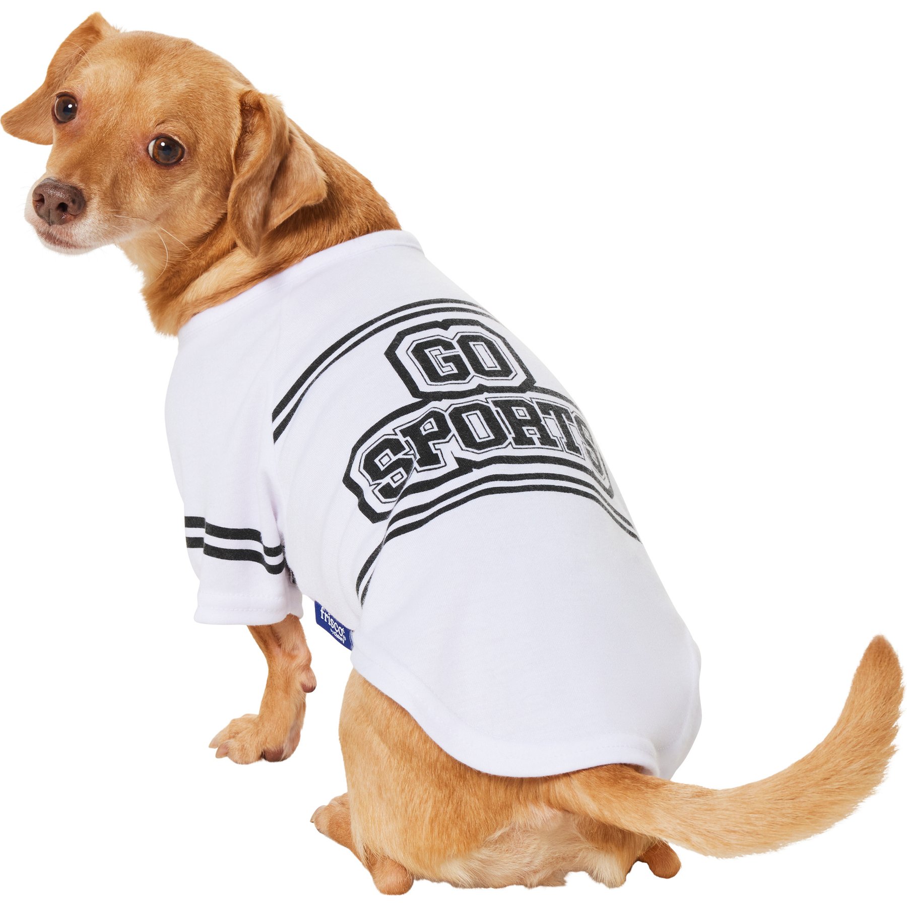 Frisco Go Sports Dog & Cat T-Shirt, White, Small